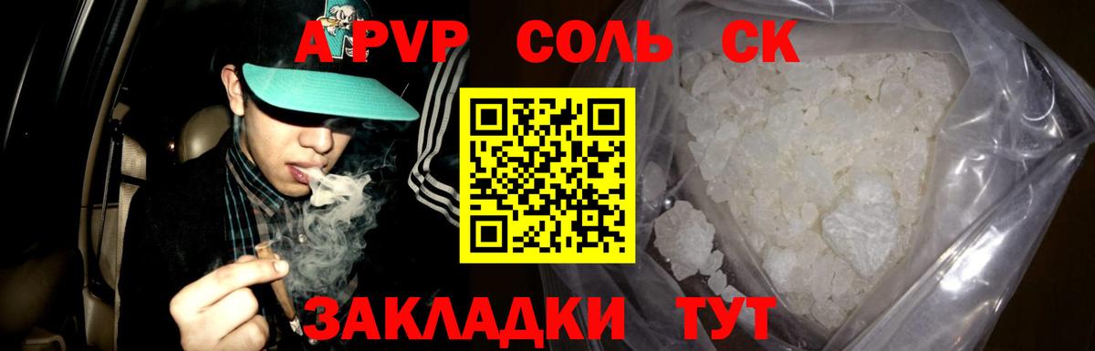 Альфа ПВП СК КРИС Краснодар