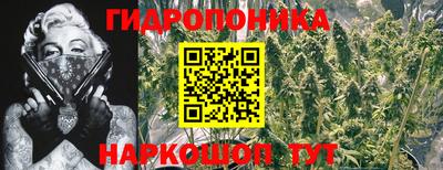 бошки Комсомольск-на-Амуре