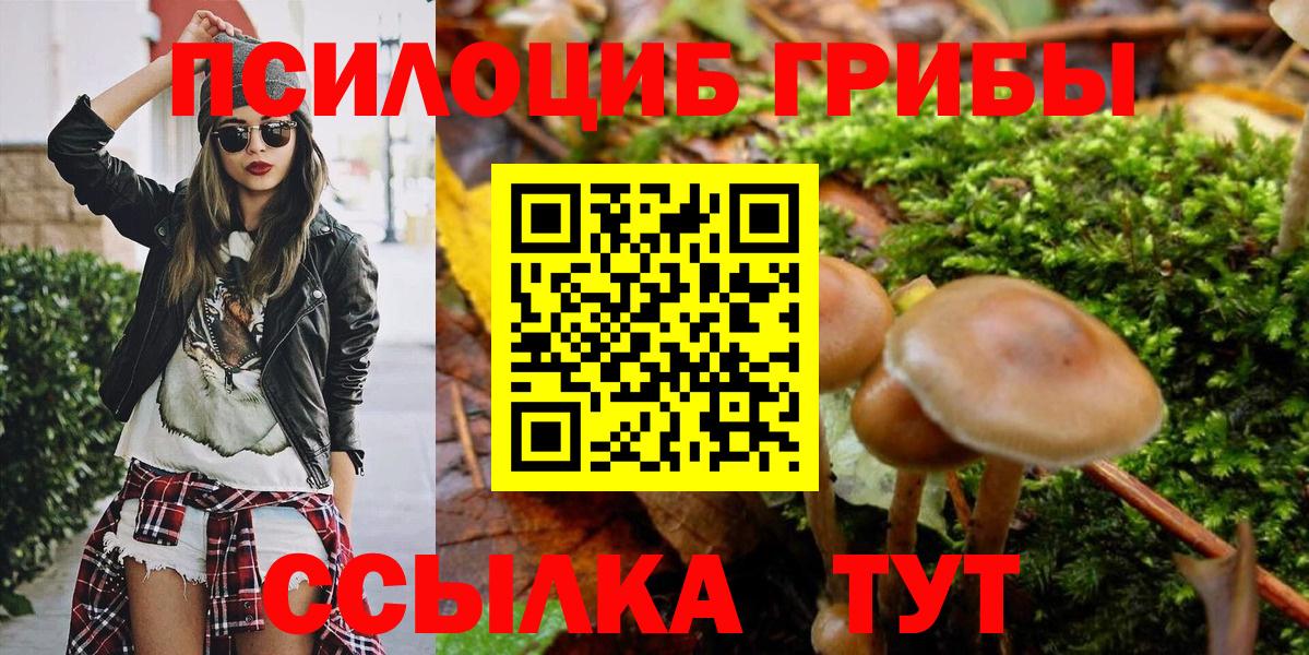 Галлюциногенные грибы мицелий Краснодар
